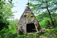 �˒x�����R