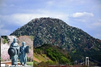 �����Ɛ~�q��