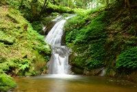 �O��̑�@�P�O�I