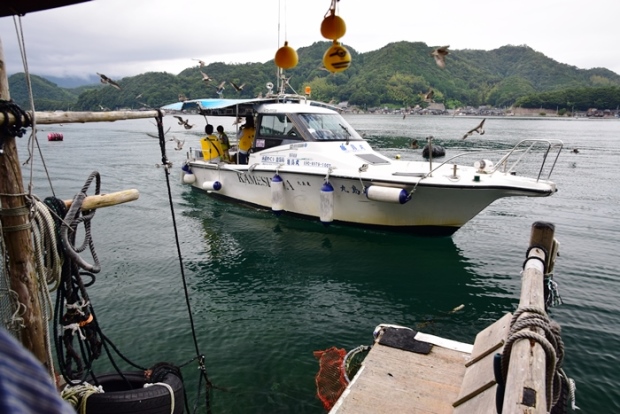 �ɍ��̐���^�N�V�[