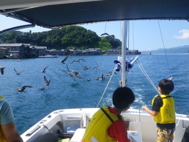 �ɍ��p�ό�