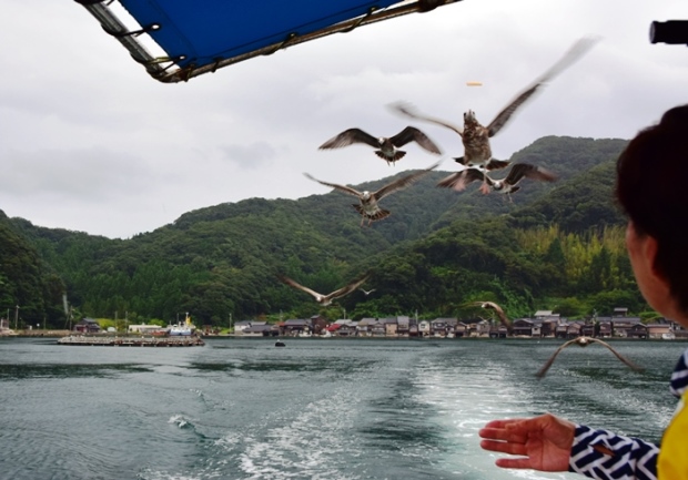 �ɍ��p�̃J����