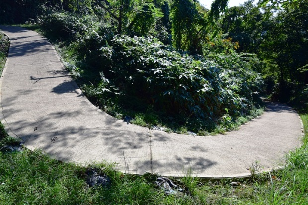 ���ԂƎR�V����