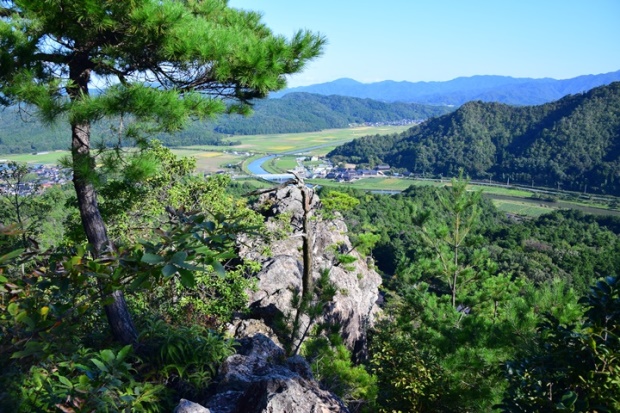 �l��₩��̒��]