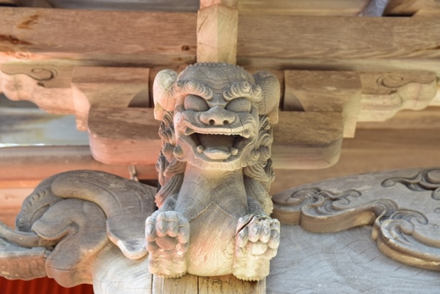 �����_��