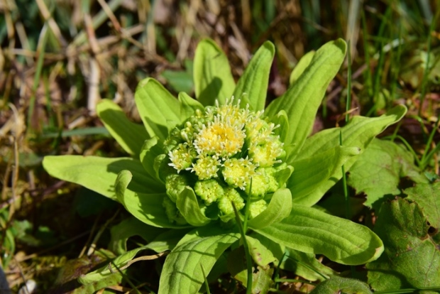 �t�L�m�g�E