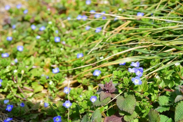 �I�I�C�k�m�t�O��