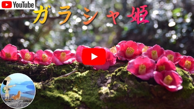 �K���V���Ó��E���y��