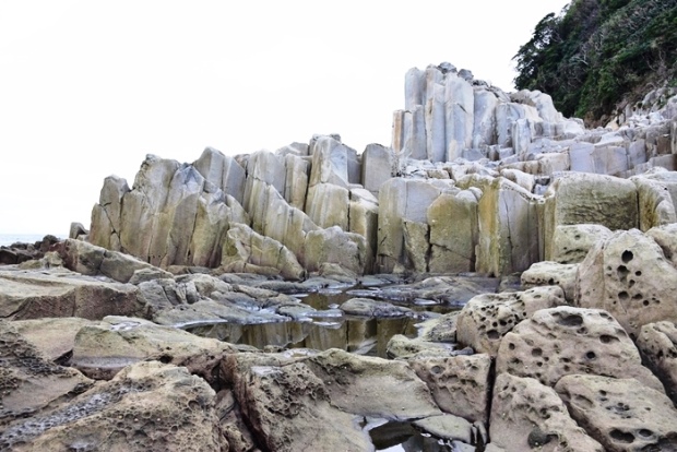 �o�������