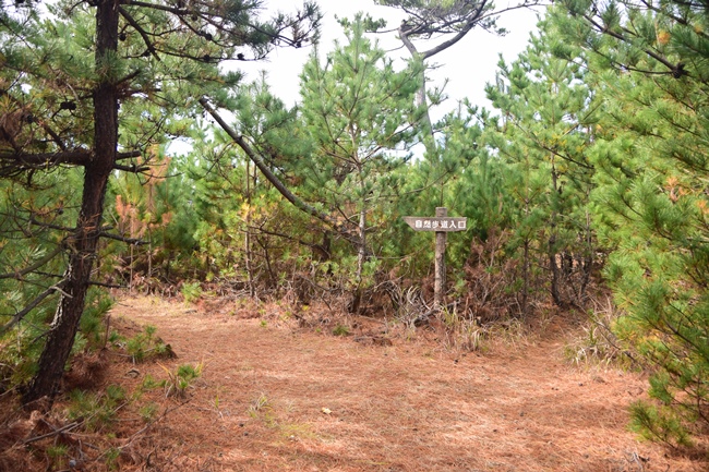 �O�Ãg���C��