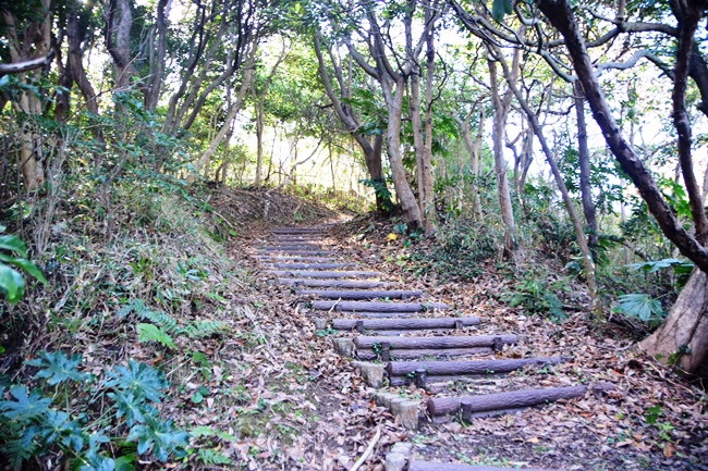 �O�Ãg���C���E�H�[�N