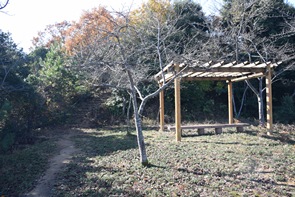 ���R���W�]���@������