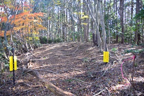 �ʂ蔲���o���܂���