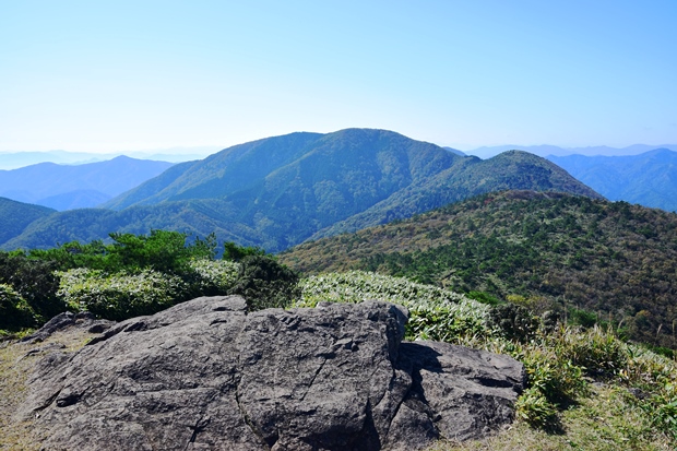 ������`��䃖��