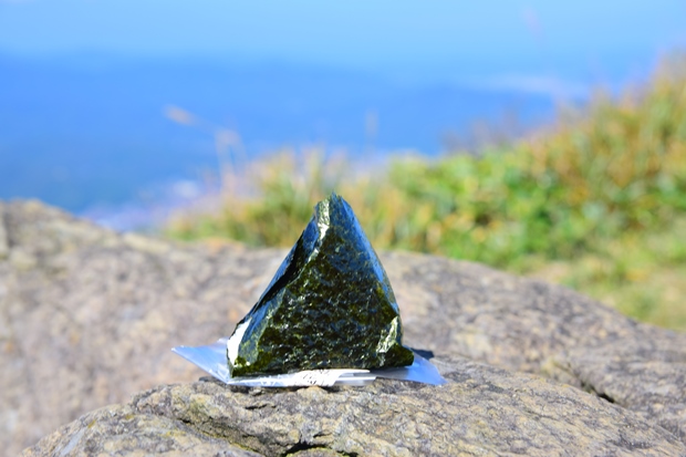 ���ɂ���R