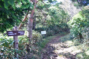 ������ւ̓o�R��