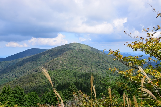 �����􂩂猩����