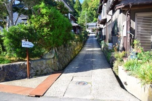 �o�R�������