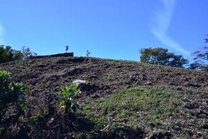 ���V�R�R��