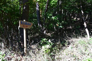 ����n��Γ����