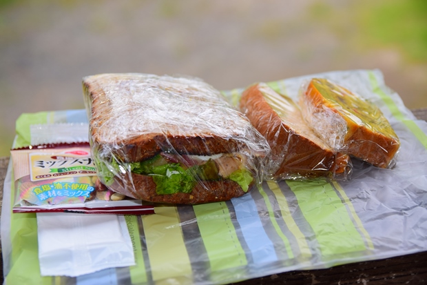 �T���h�C�b�`