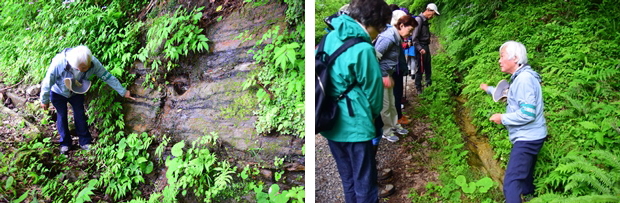 �n�w�̐���