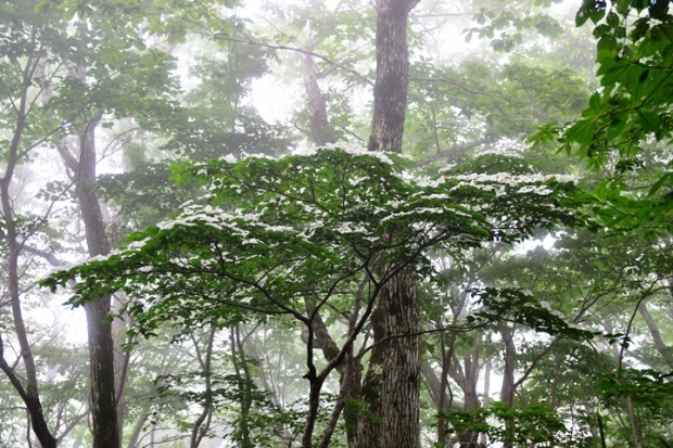 ���}�{�E�V