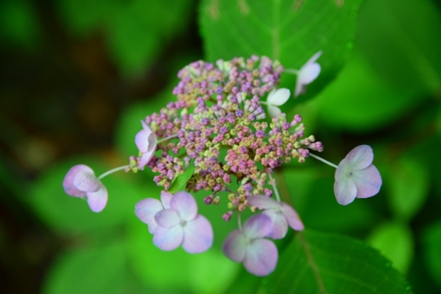 ���}�A�W�T�C