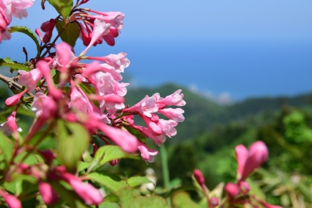 �^�j�E�c�M