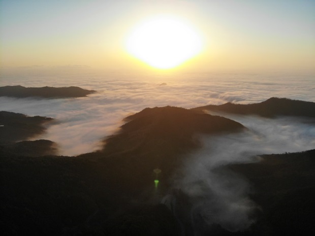 �q��ǐ����̉_�C