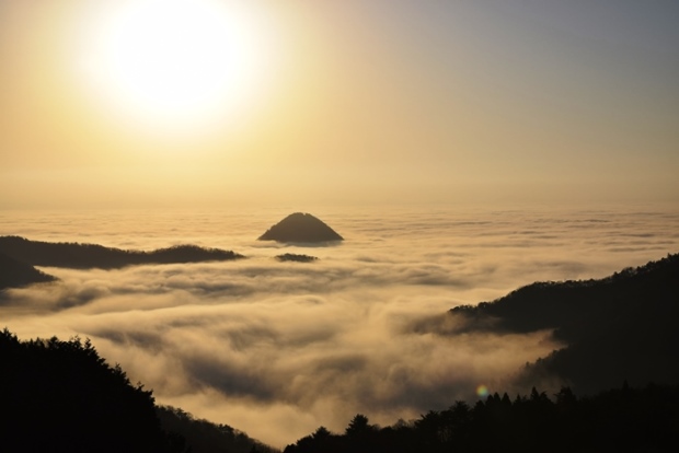 �_�C�ɕ����ԓu�Ίx