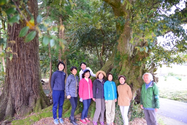 生野神社の御神木