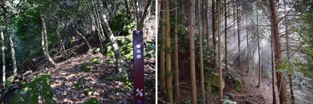 �R�ǃ��x�@�o�R��