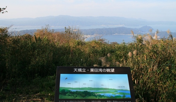 �R�ǃ��x�@����