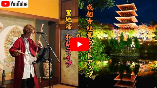 成相寺紅葉ライトアップ