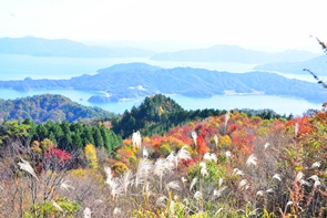 �O��c�їѓ��̍g�t