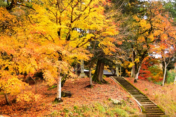 乙女神社の紅葉