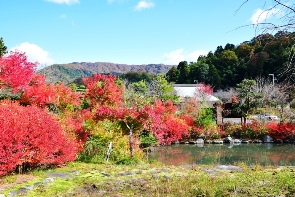 ���������̍g�t