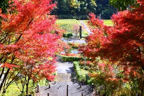 ���������̍g�t