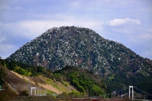 �j�I�C�R�u�V�炭�����R