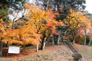 �����_��