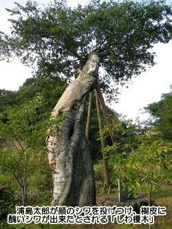 �Y���`��