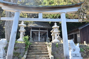 �V���_��