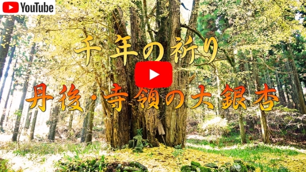 �O��A���̂̑���