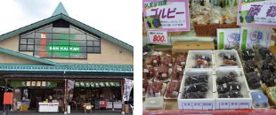 �v���l�T���J�C�J��