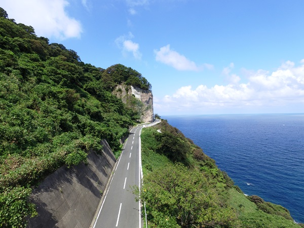 �J�}���C��