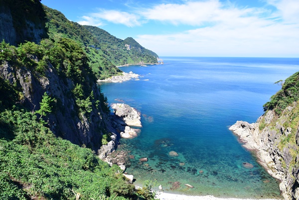 �����W�]��