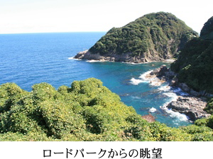 �J�}���C��